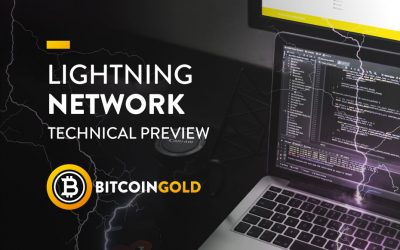 Lightning Network Technical Preview
