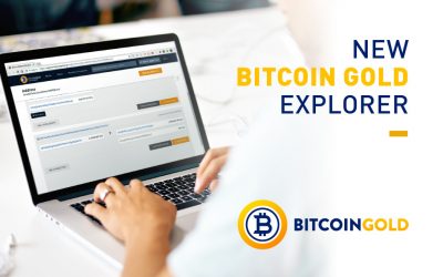 The Bitcoin Gold Insight Explorer